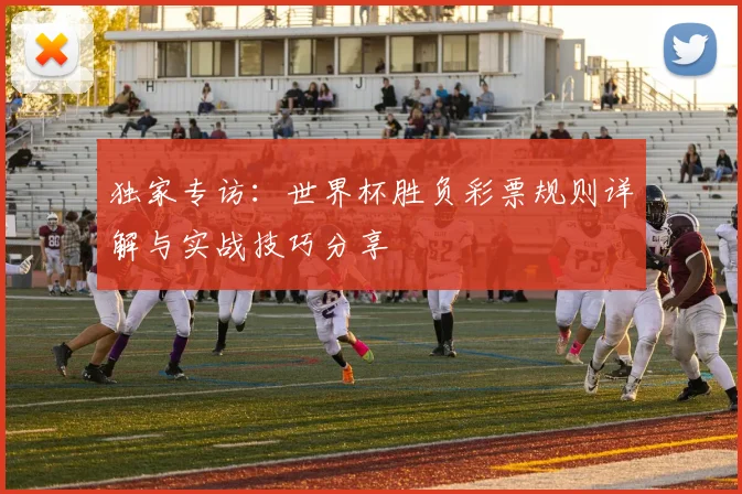独家专访：世界杯胜负彩票规则详解与实战技巧分享
