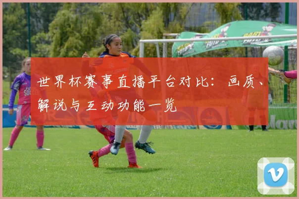 世界杯赛事直播平台对比：画质、解说与互动功能一览