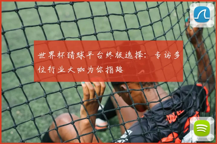世界杯猜球平台终极选择：专访多位行业大咖为你指路